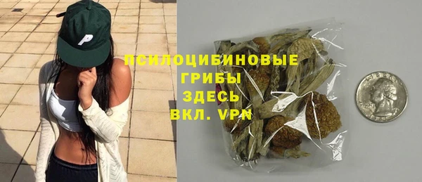 МДПВ Абаза