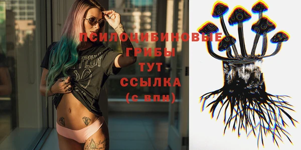 хмурый Алексеевка